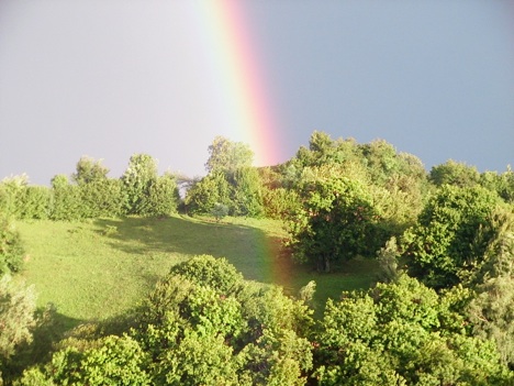 Ci siamo